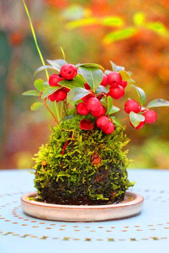 小菅トラウトガーデン 釣果