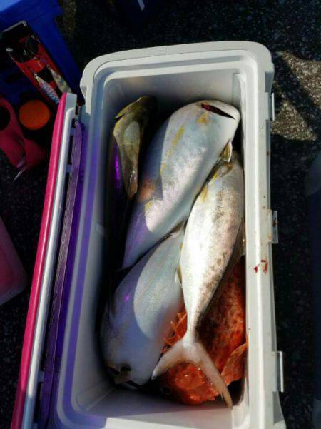 遊漁船 新鋭丸 釣果