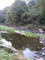 秩父フライフィールド 釣果