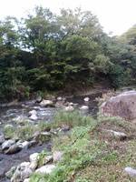 秩父フライフィールド 釣果