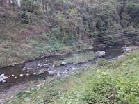 秩父フライフィールド 釣果