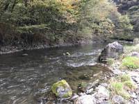 秩父フライフィールド 釣果