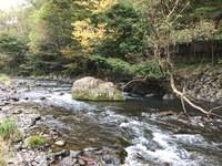 秩父フライフィールド 釣果