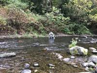 秩父フライフィールド 釣果