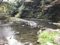 秩父フライフィールド 釣果