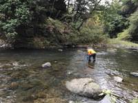 秩父フライフィールド 釣果