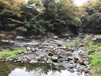 秩父フライフィールド 釣果