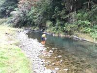 秩父フライフィールド 釣果