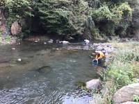 秩父フライフィールド 釣果