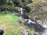 秩父フライフィールド 釣果