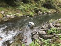 秩父フライフィールド 釣果