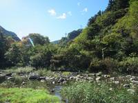 秩父フライフィールド 釣果