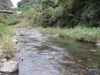 秩父フライフィールド 釣果