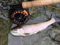 秩父フライフィールド 釣果