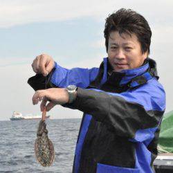 根岸丸 釣果