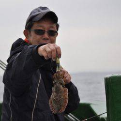 根岸丸 釣果