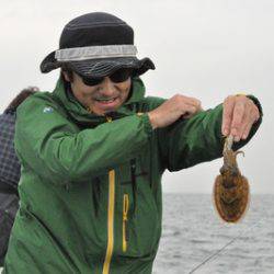 根岸丸 釣果