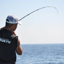 根岸丸 釣果