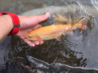 フィッシング サンクチュアリ 釣果