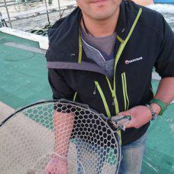 としまえんフィッシングエリア 釣果