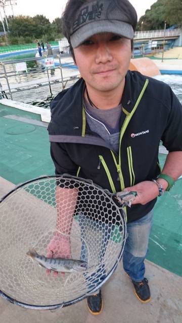 としまえんフィッシングエリア 釣果