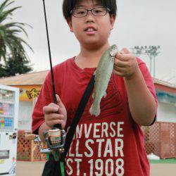 としまえんフィッシングエリア 釣果