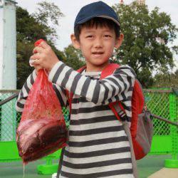 としまえんフィッシングエリア 釣果