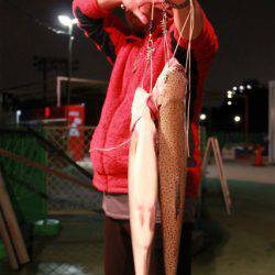 としまえんフィッシングエリア 釣果