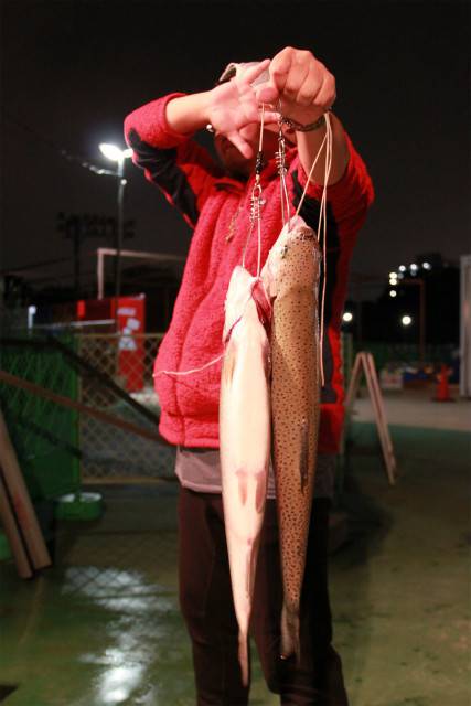 としまえんフィッシングエリア 釣果