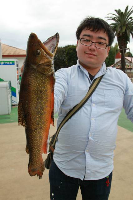 としまえんフィッシングエリア 釣果