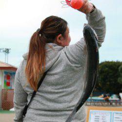 としまえんフィッシングエリア 釣果