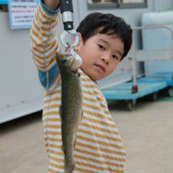 としまえんフィッシングエリア 釣果