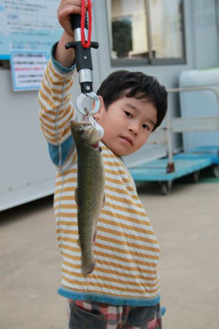 としまえんフィッシングエリア 釣果