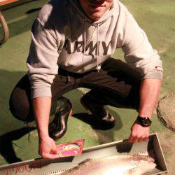 としまえんフィッシングエリア 釣果