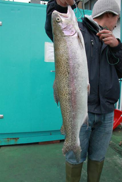 としまえんフィッシングエリア 釣果