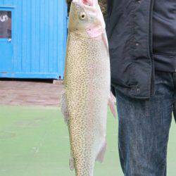 としまえんフィッシングエリア 釣果