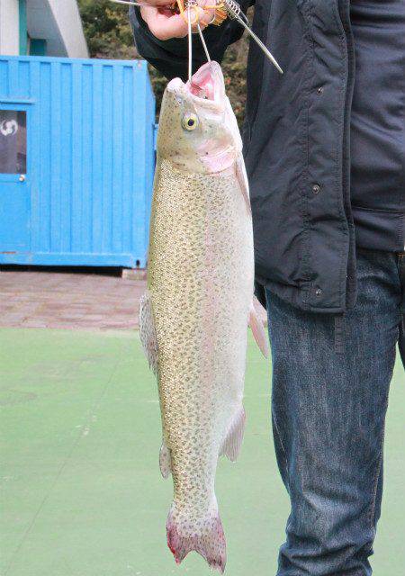 としまえんフィッシングエリア 釣果