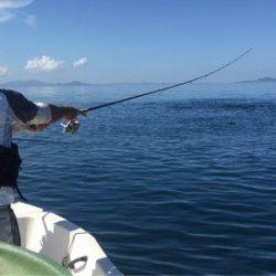 「LaGooN」蒼陽丸 日和号 釣果