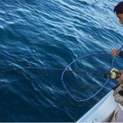 うさぎ丸 釣果