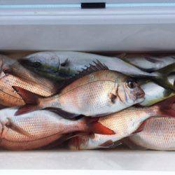 第二八坂丸 釣果