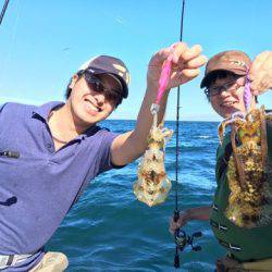 エヌスタイル 釣果