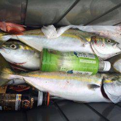 豊和丸 釣果