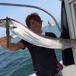 SeaRide(シーライド) 釣果