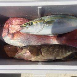 「LaGooN」蒼陽丸 日和号 釣果