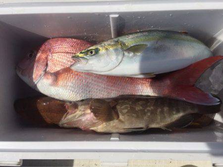 「LaGooN」蒼陽丸 日和号 釣果