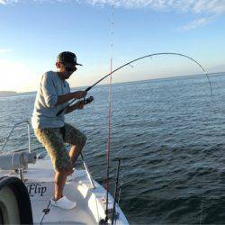 龍神丸（鹿児島） 釣果