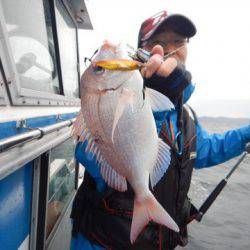 渡船屋たにぐち 釣果