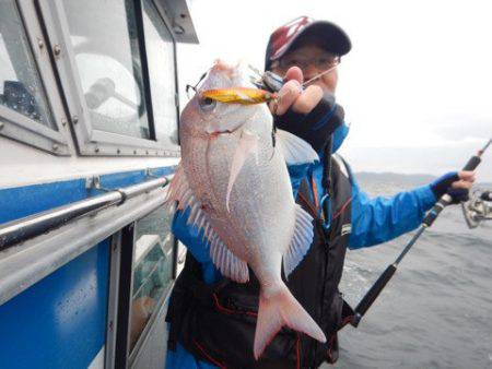 渡船屋たにぐち 釣果