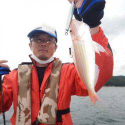 渡船屋たにぐち 釣果