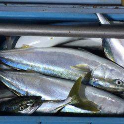 第二八坂丸 釣果